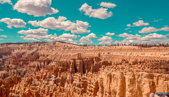 Read Utah Road Trip 2025 by Charlie Solorzano