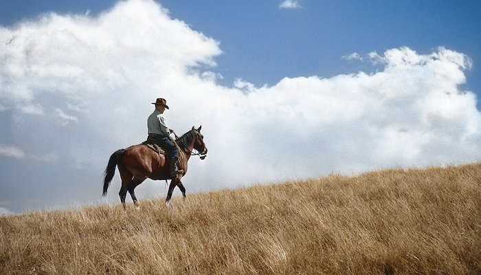 Read A Montana Rancher (1939)&nbsp; by Jordan Lloyd