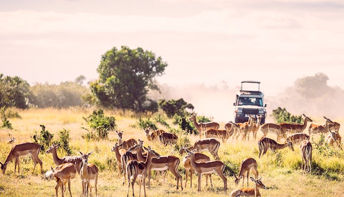 Read Beautifully Crafted Narratives by Compelling Story