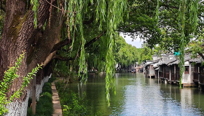 Read A tour in Jiaxing by The moment