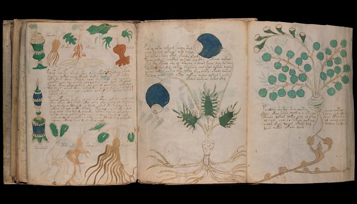 Read The Voynich Manuscript by Jordan Lloyd