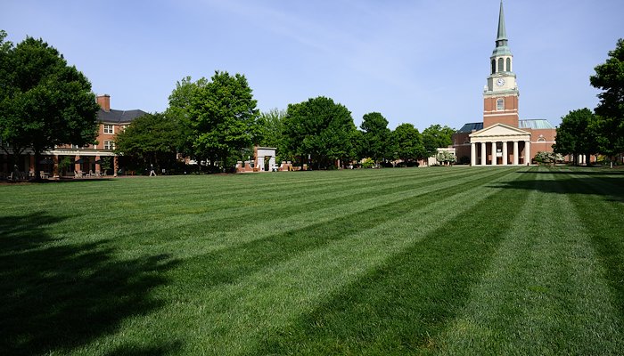 Read Preparing for Commencement by Wake Forest University