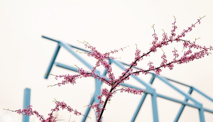 Read GVSU in Photos: May 2025 by Kendra Stanley-Mills