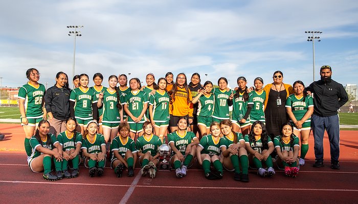Read Lady Cobra Campeonas!&nbsp; by Karen Fee