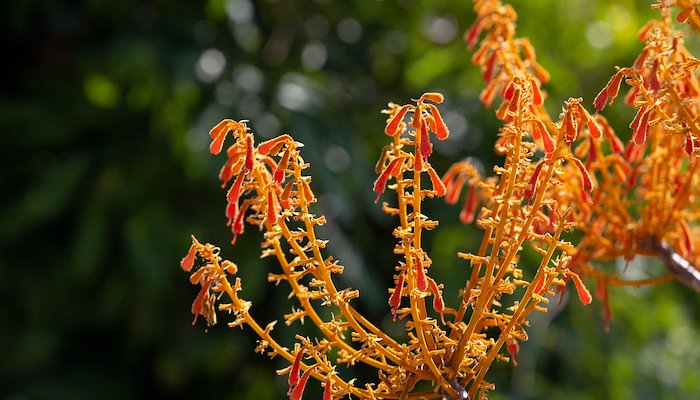 Read Lội Ngược Dòng by UNDP Viet Nam