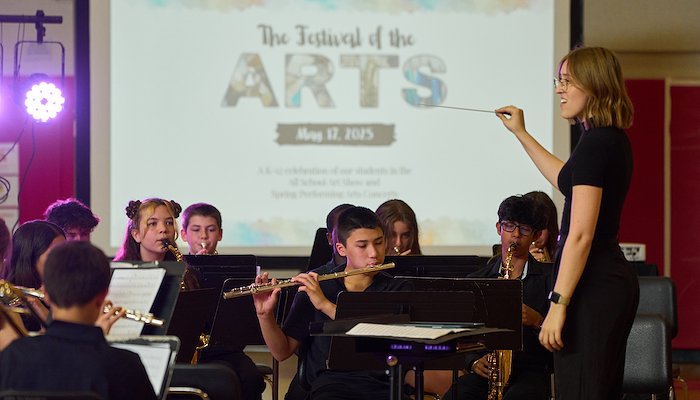 Read The Festival of the Arts by Katie Rey