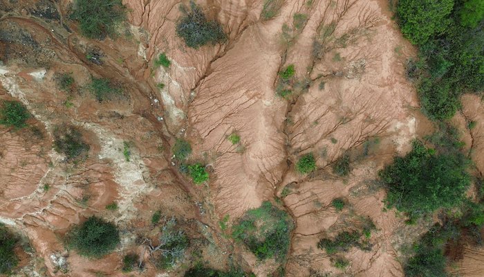 Read Reverdeciendo el desierto mexicano by UNDP Nature