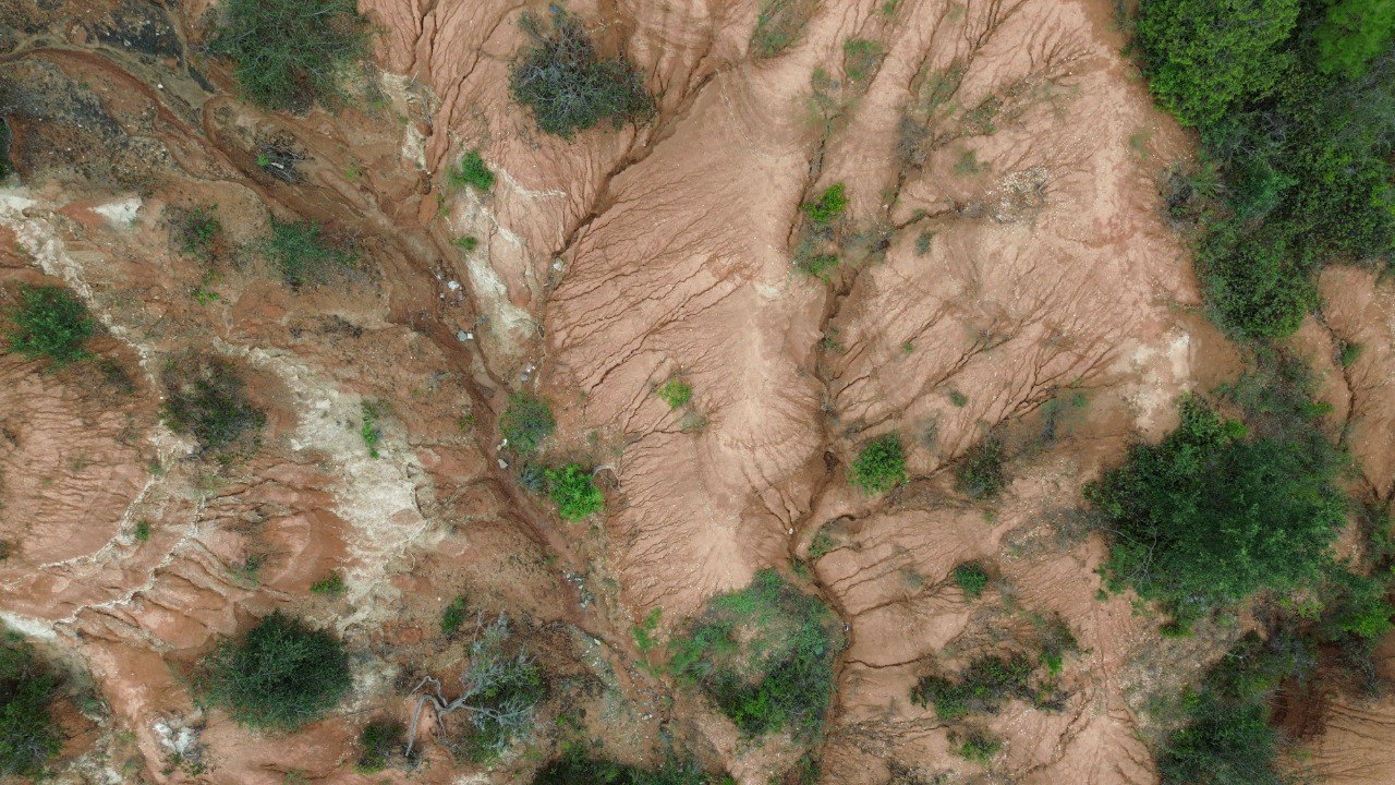 Reverdeciendo el desierto mexicano - cover photo
