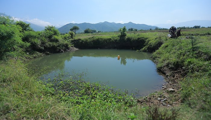 Read Building Resilience by UNDP Viet Nam