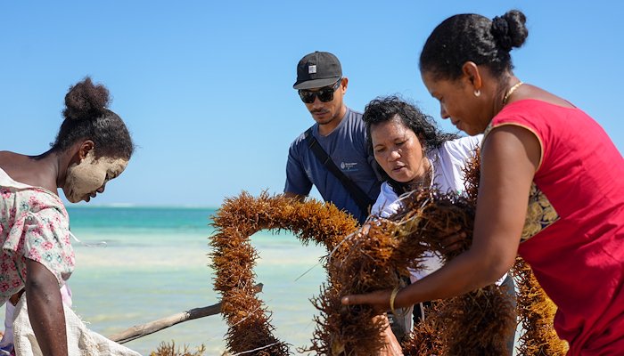 Read Reuniting Intercontinental Shores across Nusantara and Andavadoaka by Blue Ventures
