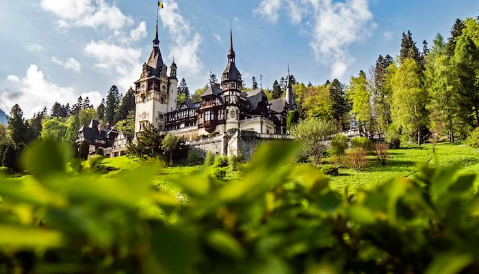 Read DOHA COLLEGE GROUP A | ROMANIA by Trans World Educational Experiences