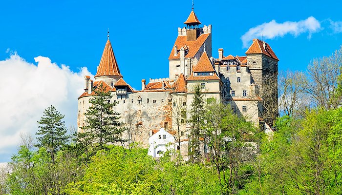 Read DOHA COLLEGE GROUP B | ROMANIA by Trans World Educational Experiences