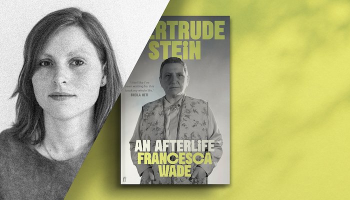 Read In Search of Gertrude Stein by Jordan Lloyd