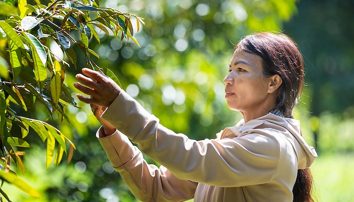 Read How climate-smart farming is helping Vietnamese farmers thrive even in drought by Climate UNDP