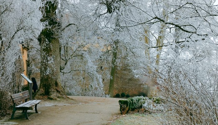 Read A Winter's Tale by Dev Das