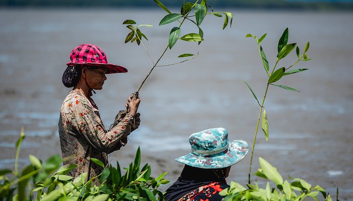 Read Building Resilience of Cambodian Communities Using Natural Infrastructure and Promoting Diversified Livelihoods by IW:LEARN