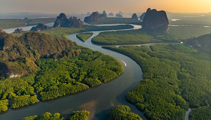Read Celebrating International Mangrove Day by IW:LEARN