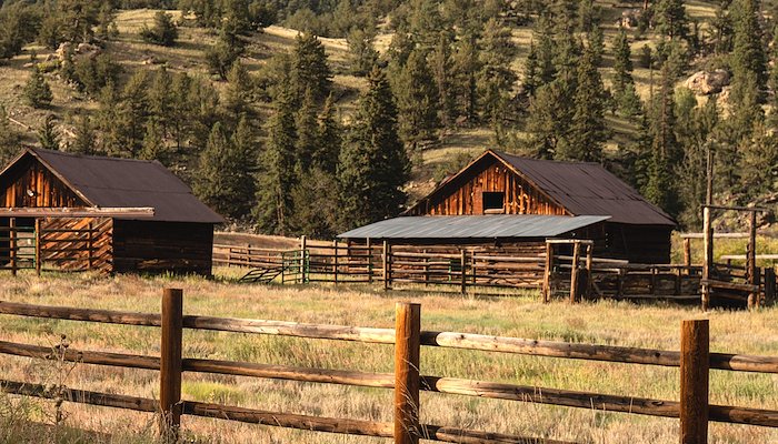 Read Tarryall Productions by d’Jurnet