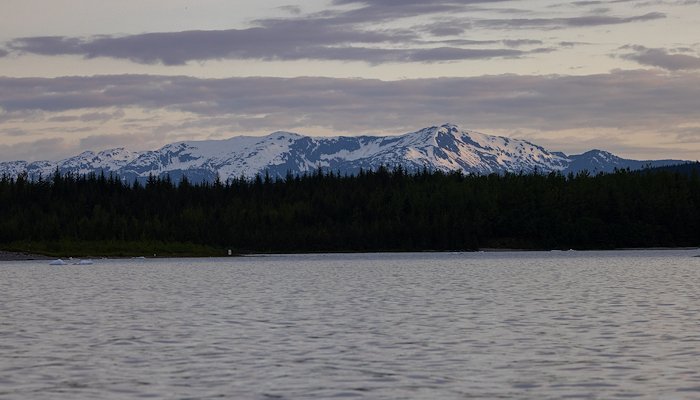 Read Juneau & Kodiak by Scott Richardson