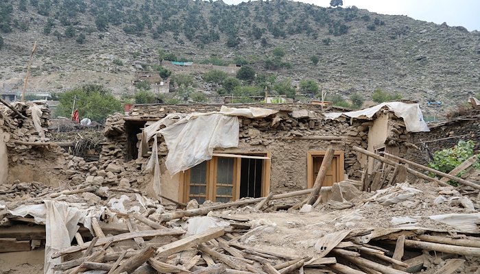 Read Eastern Afghanistan earthquakes by United Nations Development Programme