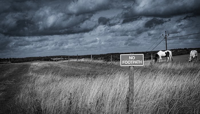 Read A Field Without Boundaries by James Tamblin