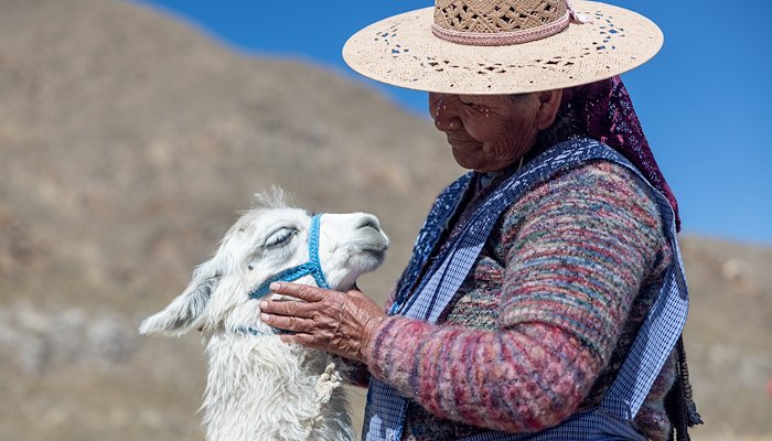 Read Healing people, healing nature by United Nations Development Programme