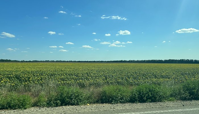 Read WHERE THE FIELDS MEET THE SKY by Kieran Seager