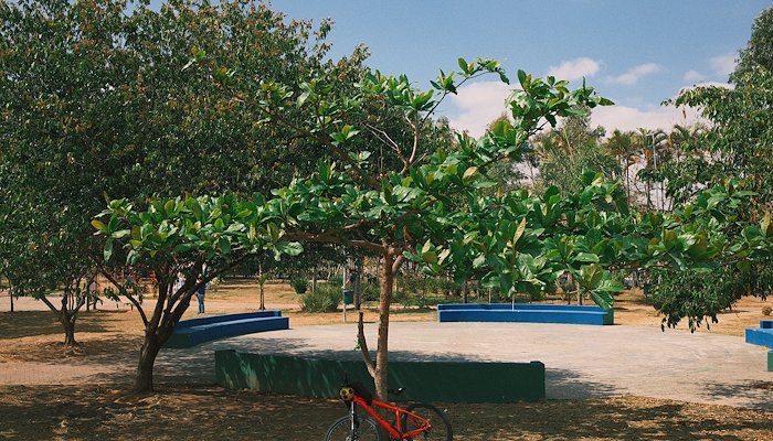 Read Everyday Jacarei Pt. 2 by Pilgrim Frames: A Project by Phil Powis