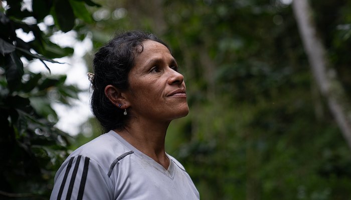 Read El campo está envejeciendo by PNUD Perú