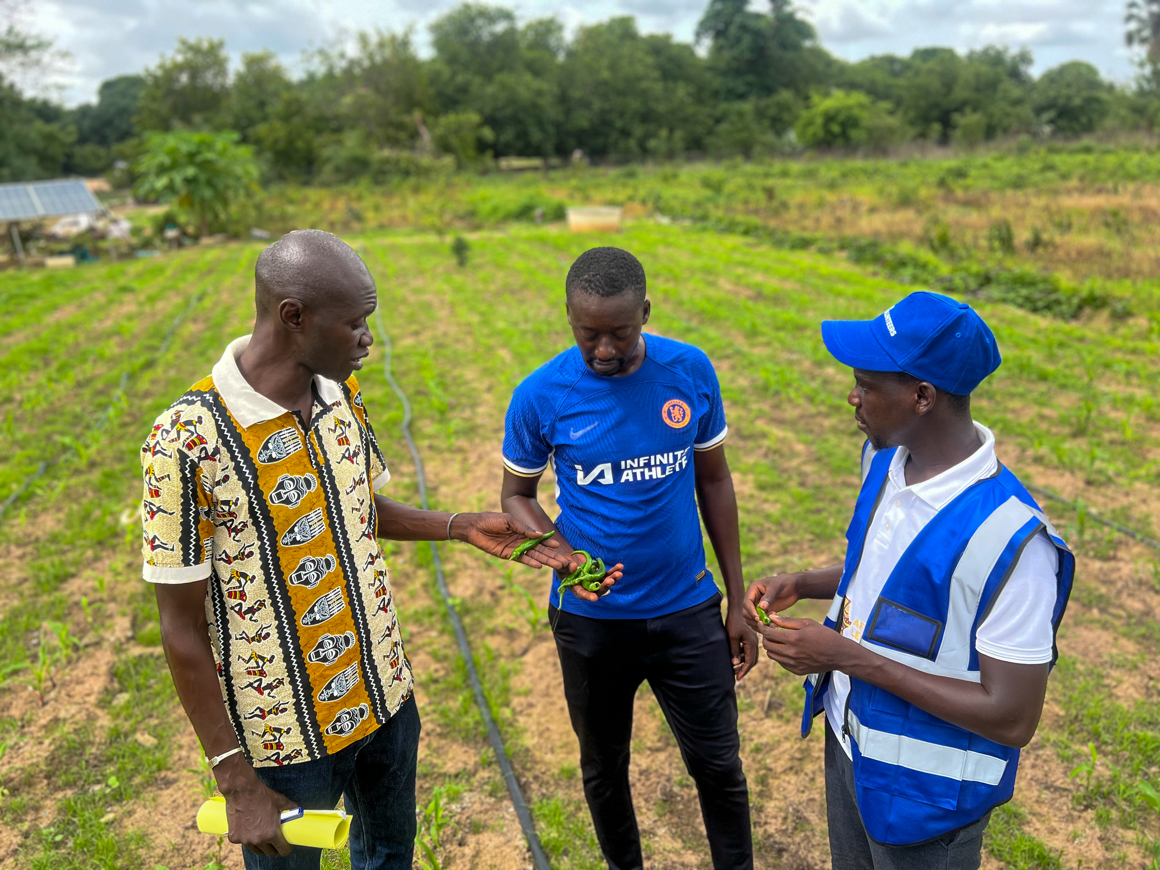 Cover photo of The volunteer pulse of Senegal by UN Volunteers