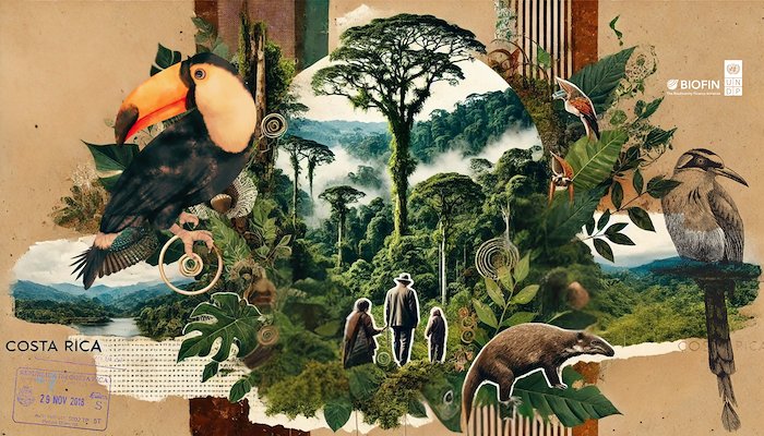 Read Costa Rica wrote the playbook on ecotourism. Its Indigenous startups are reinventing it.&nbsp;&nbsp; by United Nations Development Programme