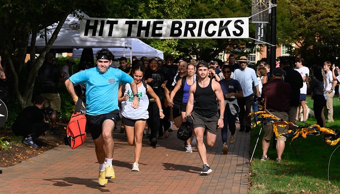 Read Hit the Bricks by Wake Forest University