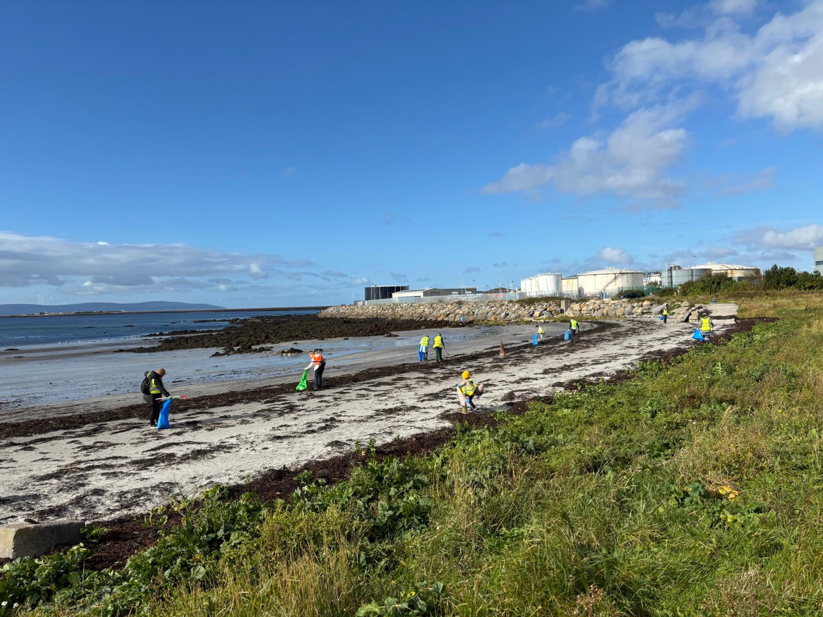 Clean Coasts - Big Beach Clean - Exposure