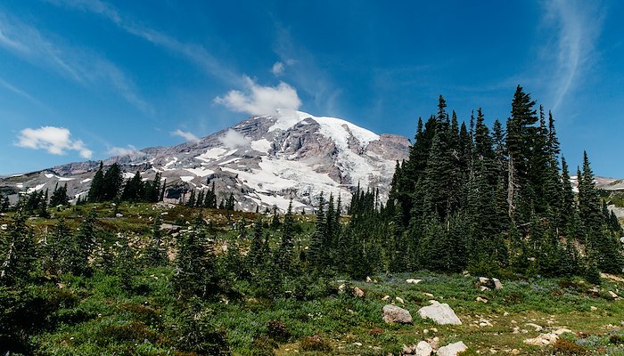 Read Mount Rainier National Park by Yes Mom I'm Alive