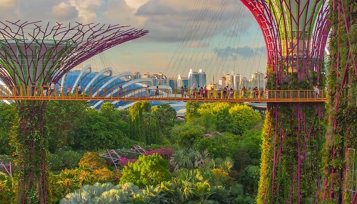 Read DOHA COLLEGE | SINGAPORE&nbsp; by Trans World Educational Experiences