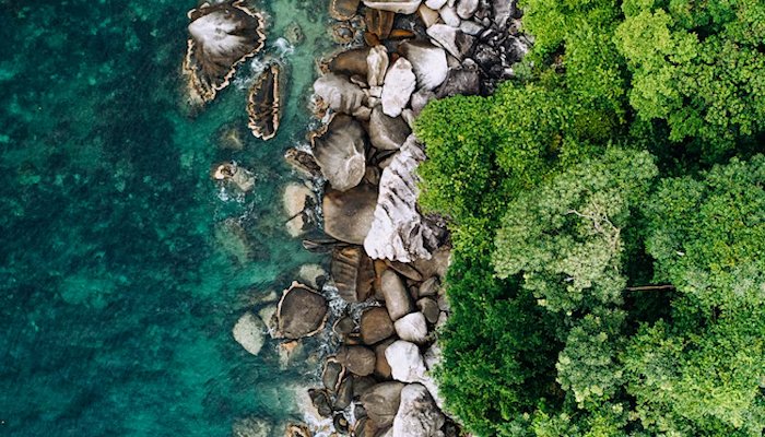 Read TIOMAN ISLAND | JEBEL ALI by Trans World Educational Experiences