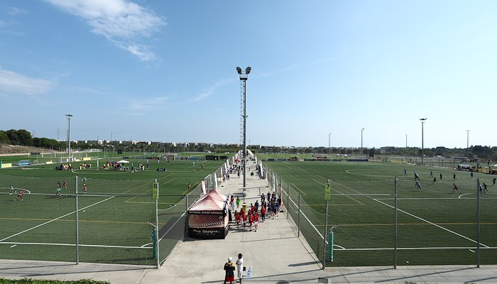 Read WSG FOOTBALL 25 LIVE by Trans World Educational Experiences
