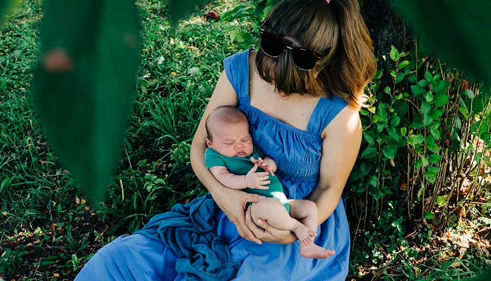 Read Apple Picking by Rebecca