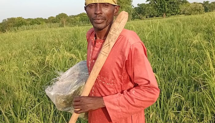 Read Mallam Bello: by IW:LEARN