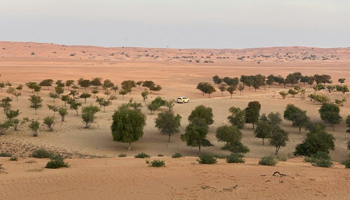 Read Chegga El Beidha, Mauritania: &nbsp; by IW:LEARN