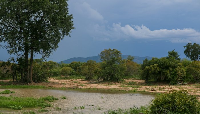 Read Before, the land wore me out. Today, it feeds me by IW:LEARN