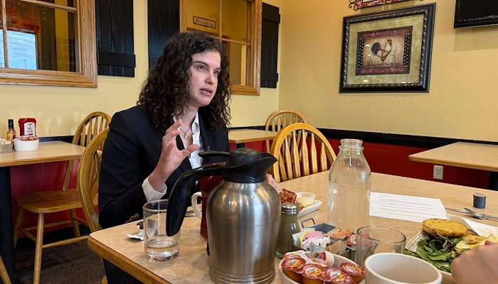 Read Rise & Research by Ashley Rodgers