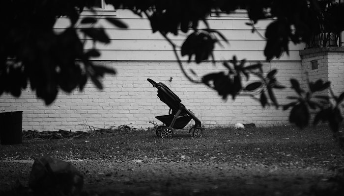 Read Left Behind by Dominque Gipson