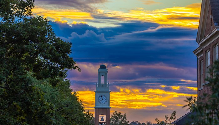 Read Miami in Photos: October 2025 by Sabrina Stanifer