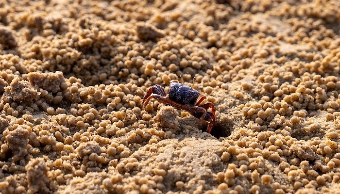 Read Norway at COP30 by GRID-Arendal