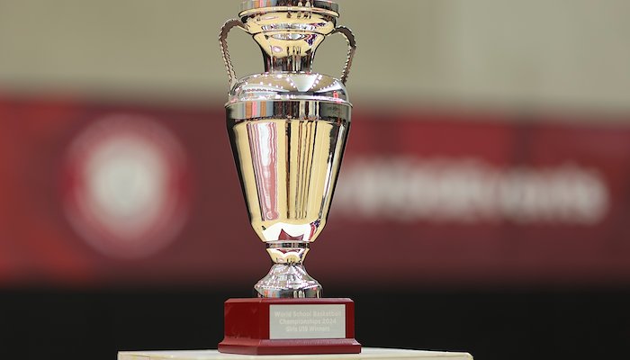 Read WSG BASKETBALL 25 LIVE by Trans World Educational Experiences