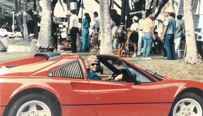 Read Stuntwoman to the stars by Jeanne Luis