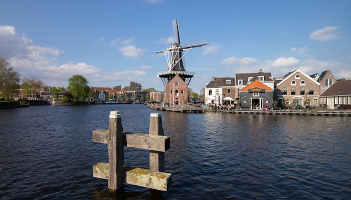 Read Haarlem by Mundane Babble