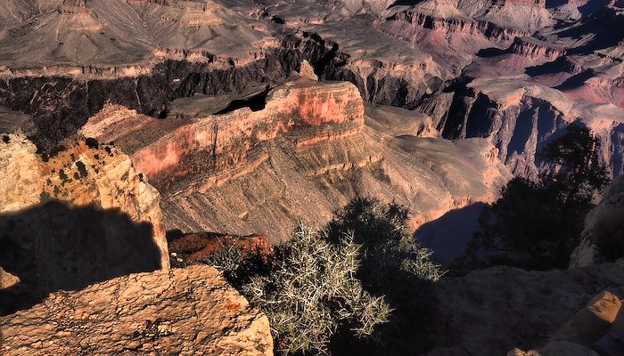 Read Elementary by Mark Smith