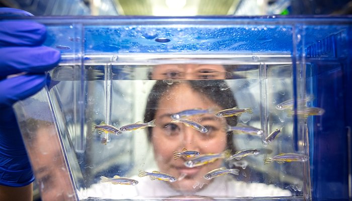 Read A Century of Canes by Jeanne Luis